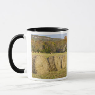 Mug Ferme historique en rivière nationale de Buffalo,