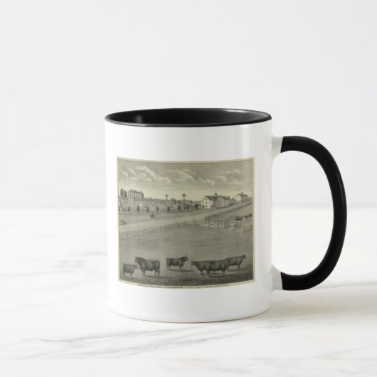 Mug Ferme stock Clover Cliff, comté de Chase, Kansas (Droite)