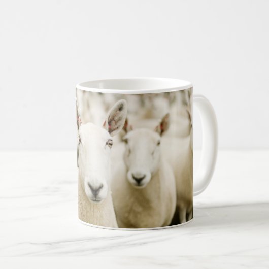 Mug Fermes | Troupeau de moutons (Devant droit)