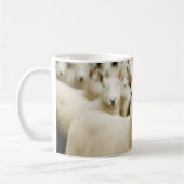 Mug Fermes | Troupeau de moutons (Gauche)