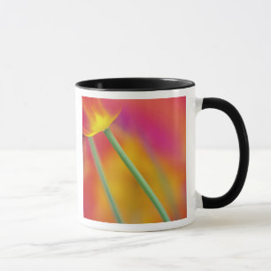 Mug Fermeture du dessous de la fleur de tulipe,