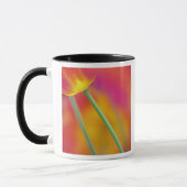 Mug Fermeture du dessous de la fleur de tulipe, (Gauche)