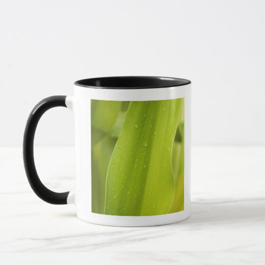 Mug Fermez-vous de la feuille tropicale humide (Gauche)