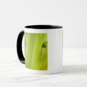 Mug Fermez-vous de la feuille tropicale humide (Devant gauche)