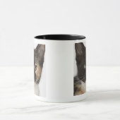 Mug Fermez-vous du chaton (Centre)