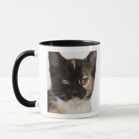 Mug Fermez-vous du chaton (Gauche)
