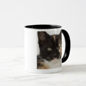 Mug Fermez-vous du chaton (Devant droit)