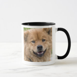 Mug Fermez-vous du chien de mélange de bouffe dehors