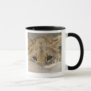Mug Fermez-vous du visage de petit animal de lion