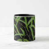 Mug Fern (Centre)