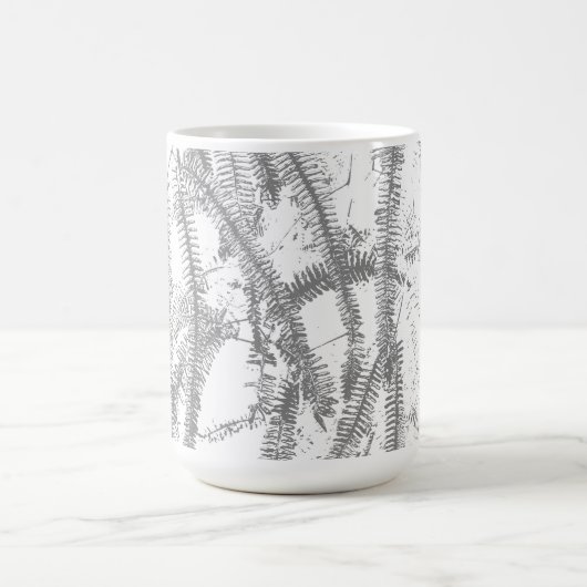 Mug Fern (Centre)
