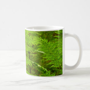 Mug Fern Fronds III Nature verte Botanique