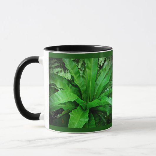 Mug Ferne de nid d'oiseaux (Gauche)
