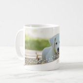 Mug Festif Chien Photo Stars Noël Keepsaké (Devant gauche)