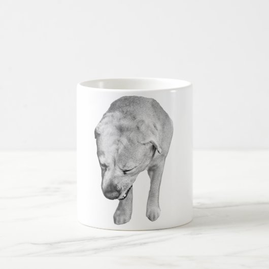Mug Feu de Labrador dans l'ombrage d'hiver doux (Centre)