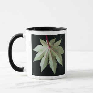 Mug Feuille et tige