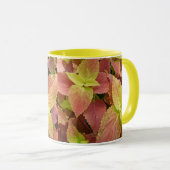 Mug Feuille saisissant de coleus (Devant droit)