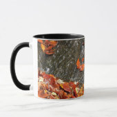 Mug Feuilles d'automne dans la cascade I Photographie  (Gauche)