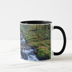 Mug Feuilles d'automne éparpillées le long du ruisse
