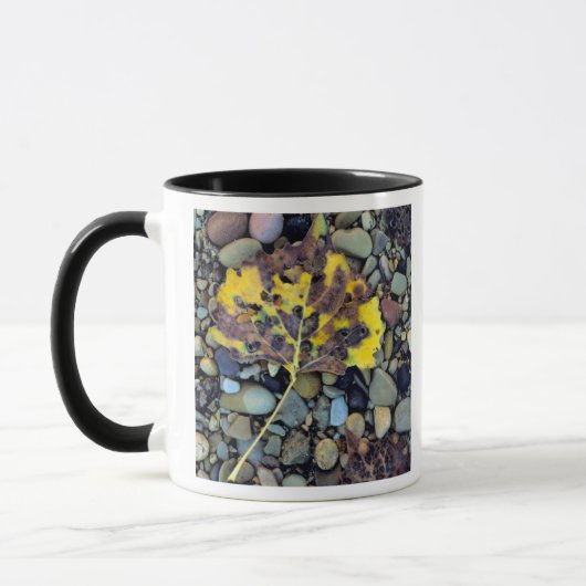 Mug Feuilles de bois de chalet de Fremont sur la plain (Gauche)