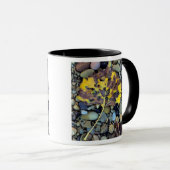 Mug Feuilles de bois de chalet de Fremont sur la plain (Devant droit)