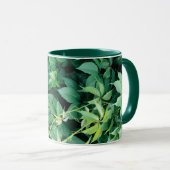 Mug Feuilles de raisins verts (Devant droit)
