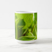 Mug Feuilles verts Hosta (Centre)