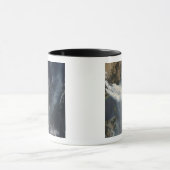 Mug Feux et fumée dans le sud-est de l'Australie (Centre)