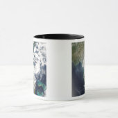 Mug Feux et fumée en Géorgie et en Floride (Centre)