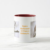 Mug Février Robin (Centre)