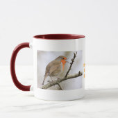 Mug Février Robin (Gauche)