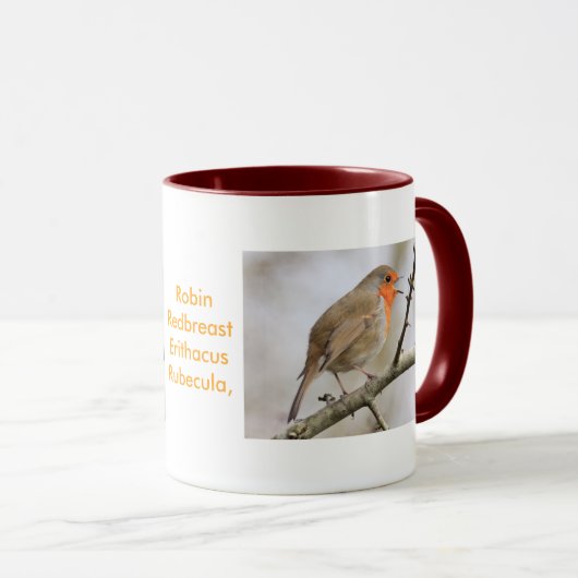 Mug Février Robin (Devant droit)
