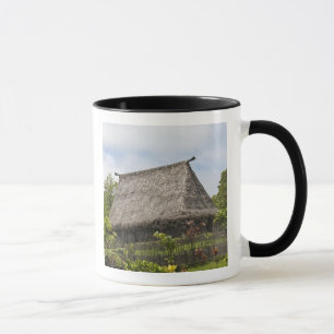 Mug Fidji, île de Viti Levu. Centre culturel polynésie