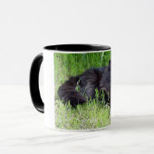 Mug Fier majestueux félin de longs cheveux pelucheux (Devant gauche)
