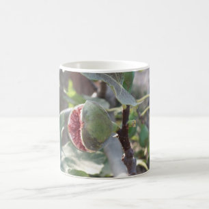 Mug Figue