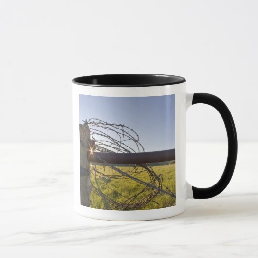 Mug Fil de fer barbelé enroulé sur une rangée de clôtu (Droite)