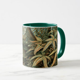 Mug Filicinae par Ernst Haeckel, plantes de fougères a