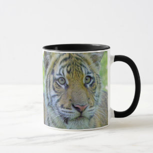 Mug Fin de CUB de tigre vers le haut de portrait