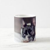 Mug Fina Boston Terrier (Centre)