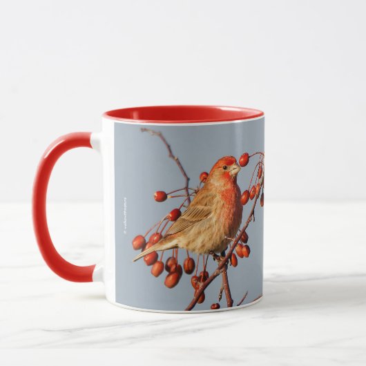Mug Finch maison avec Berries Hawthorn (Gauche)