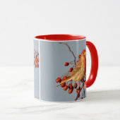Mug Finch maison avec Berries Hawthorn (Devant droit)