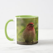 Mug Finch pourpre (Gauche)