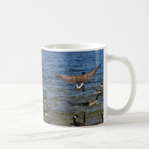 Mug First goose to fly, geese on lake Arrowhead