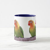 Mug Fischer's Lovebird (Centre)