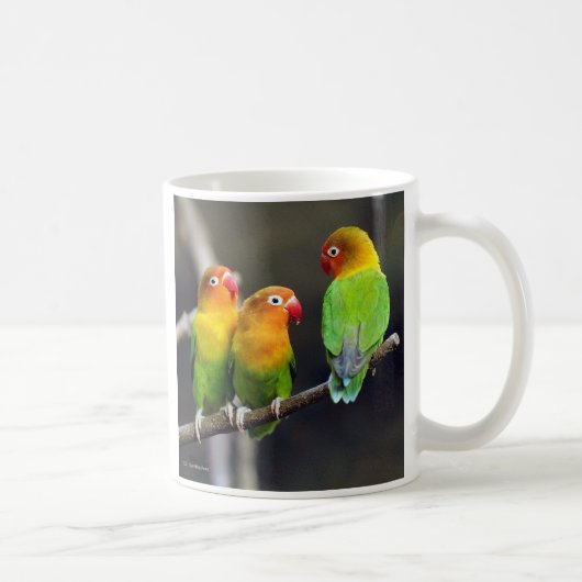 Mug “Fischer's Lovebird” (Droite)