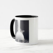 Mug flacon du Plat-fond (Devant gauche)