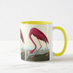 Mug Flamant rose américain, John James Audubon