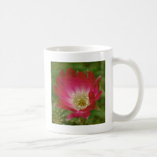 Mug Fleur Cactus