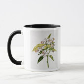 Mug Fleur d'arbre orange, de 'La Guirlande de Julie' (Gauche)