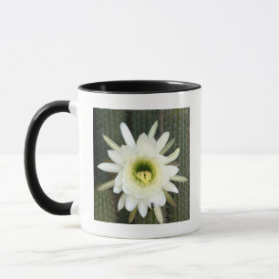 Mug Fleur de cactus Reine de la nuit, région du Karoo